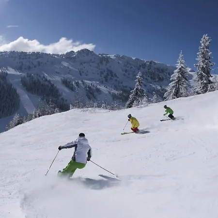 Appartementhaus Austria 4 * Finkenberg